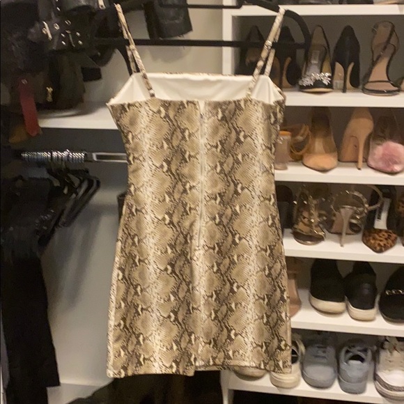 Tiger Mist Snake leather mini dress - Picture 4 of 4